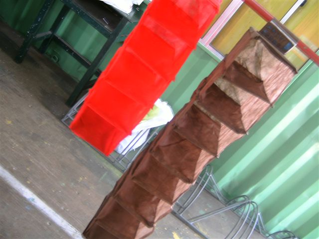 &ntilde;l
